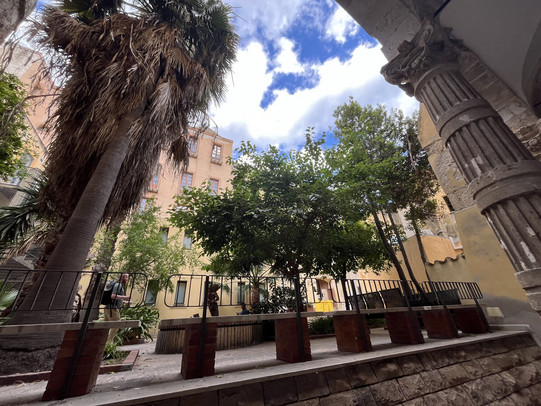 View into the garden of the University of Cagliari